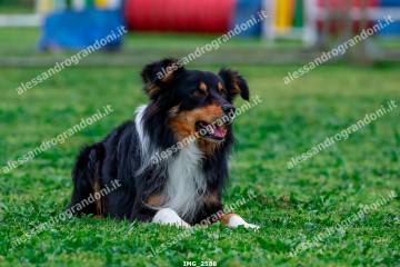 IMG_2588.jpg