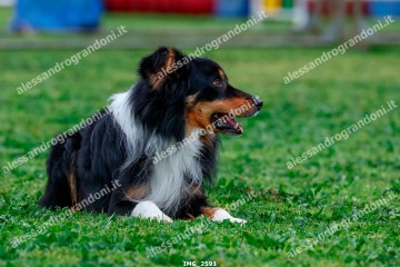 IMG_2591.jpg
