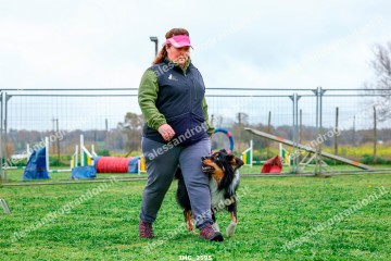 IMG_2595.jpg