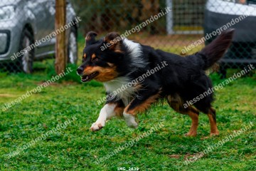 IMG_2639.jpg