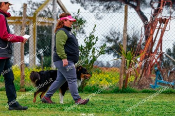 IMG_2687.jpg