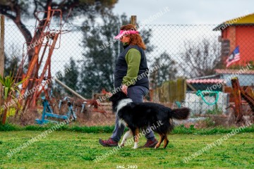 IMG_2693.jpg