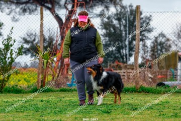 IMG_2697.jpg