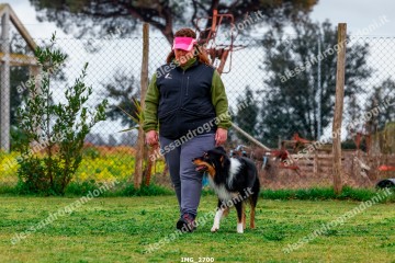 IMG_2700.jpg