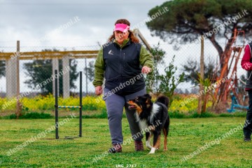 IMG_2717.jpg