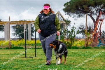 IMG_2722.jpg