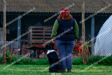 IMG_2732.jpg