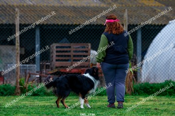 IMG_2738.jpg