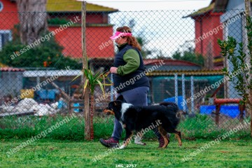 IMG_2757.jpg