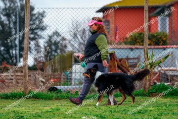 IMG_2762.jpg