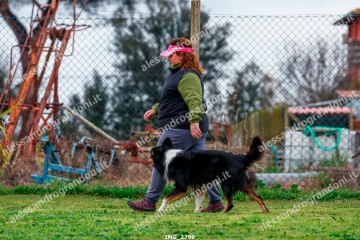 IMG_2769.jpg