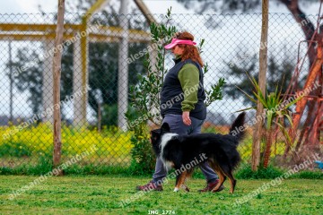 IMG_2774.jpg