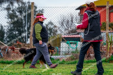 IMG_2779.jpg