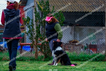 IMG_2785.jpg