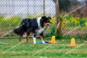 IMG_2789.jpg