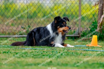IMG_2793.jpg
