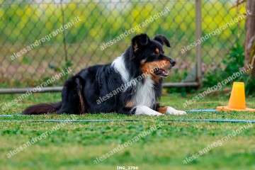 IMG_2796.jpg