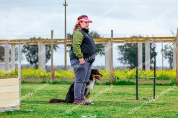 IMG_2809.jpg