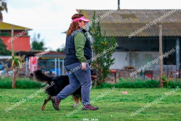 IMG_2820.jpg