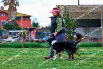 IMG_2825.jpg
