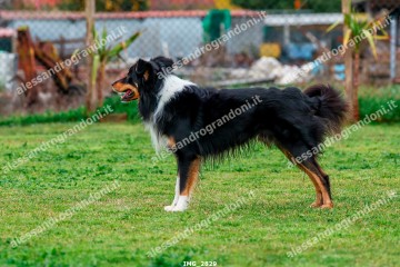 IMG_2829.jpg