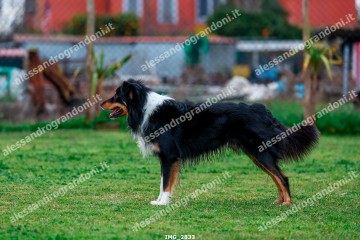 IMG_2833.jpg