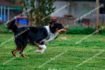 IMG_2841.jpg