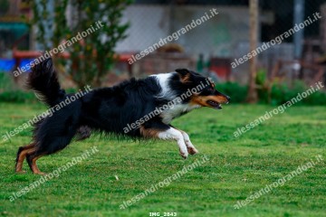 IMG_2843.jpg