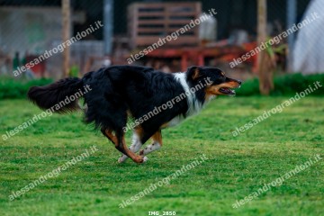IMG_2850.jpg