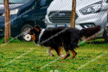 IMG_2874.jpg