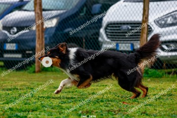 IMG_2876.jpg