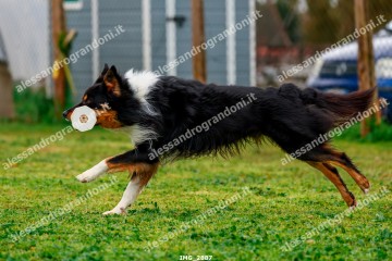 IMG_2887.jpg