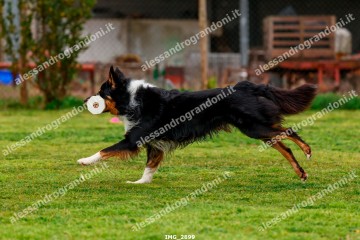 IMG_2899.jpg