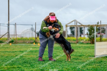 IMG_2929.jpg