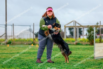 IMG_2936.jpg