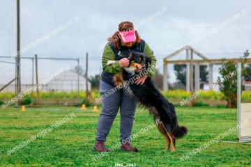 IMG_2943.jpg