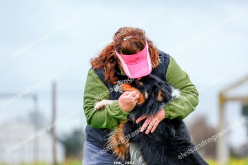 IMG_2957.jpg
