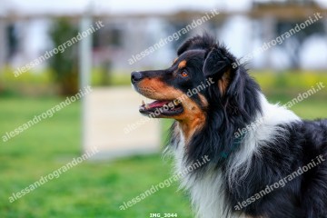 IMG_3044.jpg