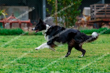 IMG_3053.jpg