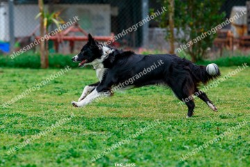 IMG_3055.jpg