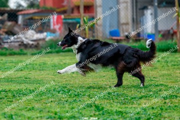 IMG_3064.jpg
