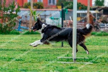 IMG_3075.jpg
