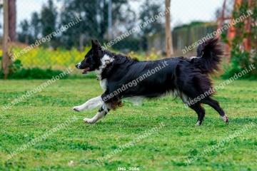 IMG_3086.jpg