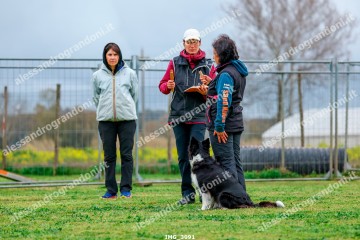 IMG_3091.jpg
