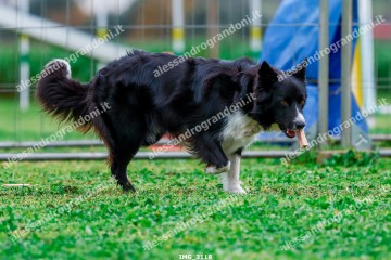 IMG_3118.jpg