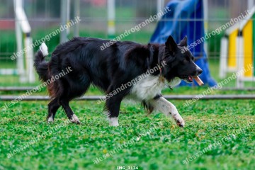 IMG_3134.jpg