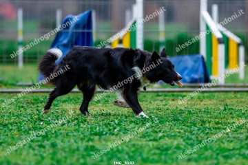 IMG_3142.jpg