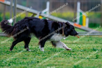 IMG_3146.jpg