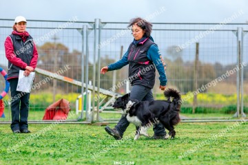 IMG_3168.jpg