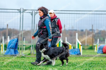 IMG_3181.jpg